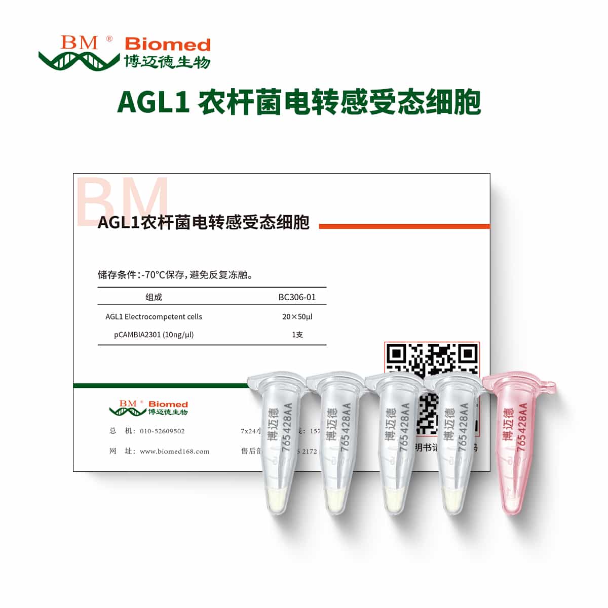 AGL1 农杆菌电转感受态细胞