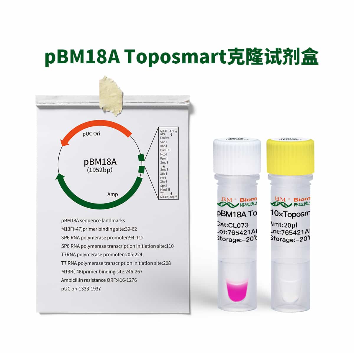 pBM18A Toposmart Cloning Kit克隆试剂盒