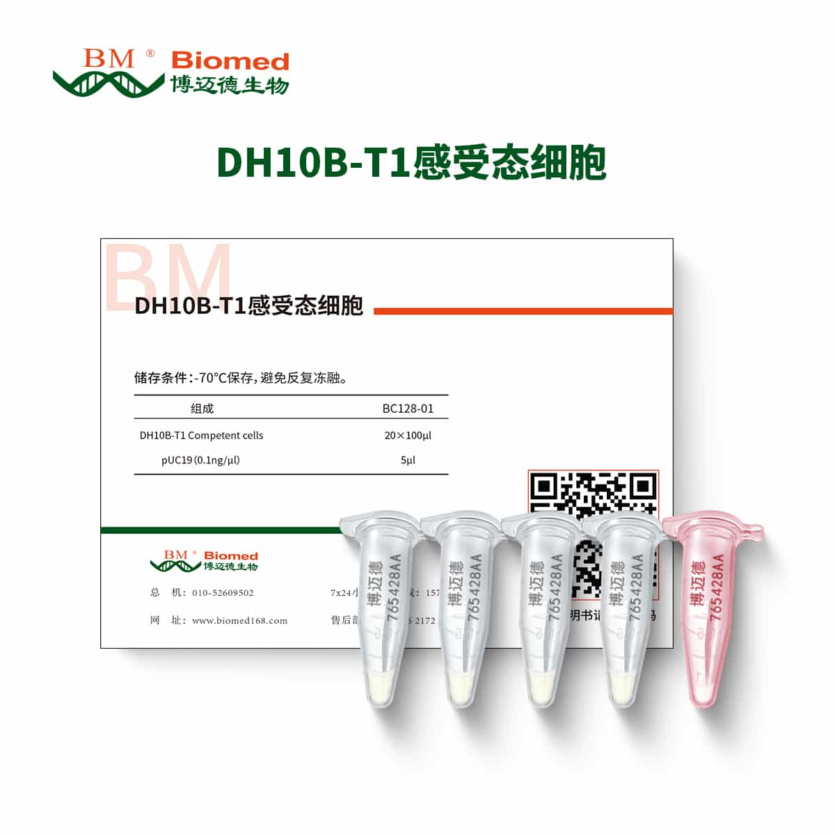 DH10B-T1感受态细胞