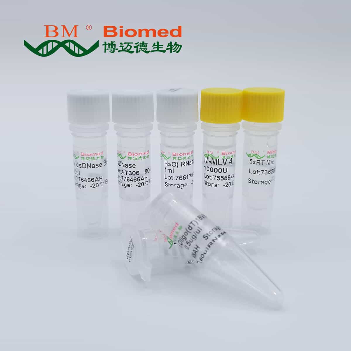 M-MLV 4 First-Strand cDNA Synthesis Kit with gDNA Eraser