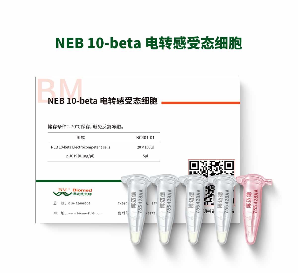 NEB 10-beta 电转感受态细胞