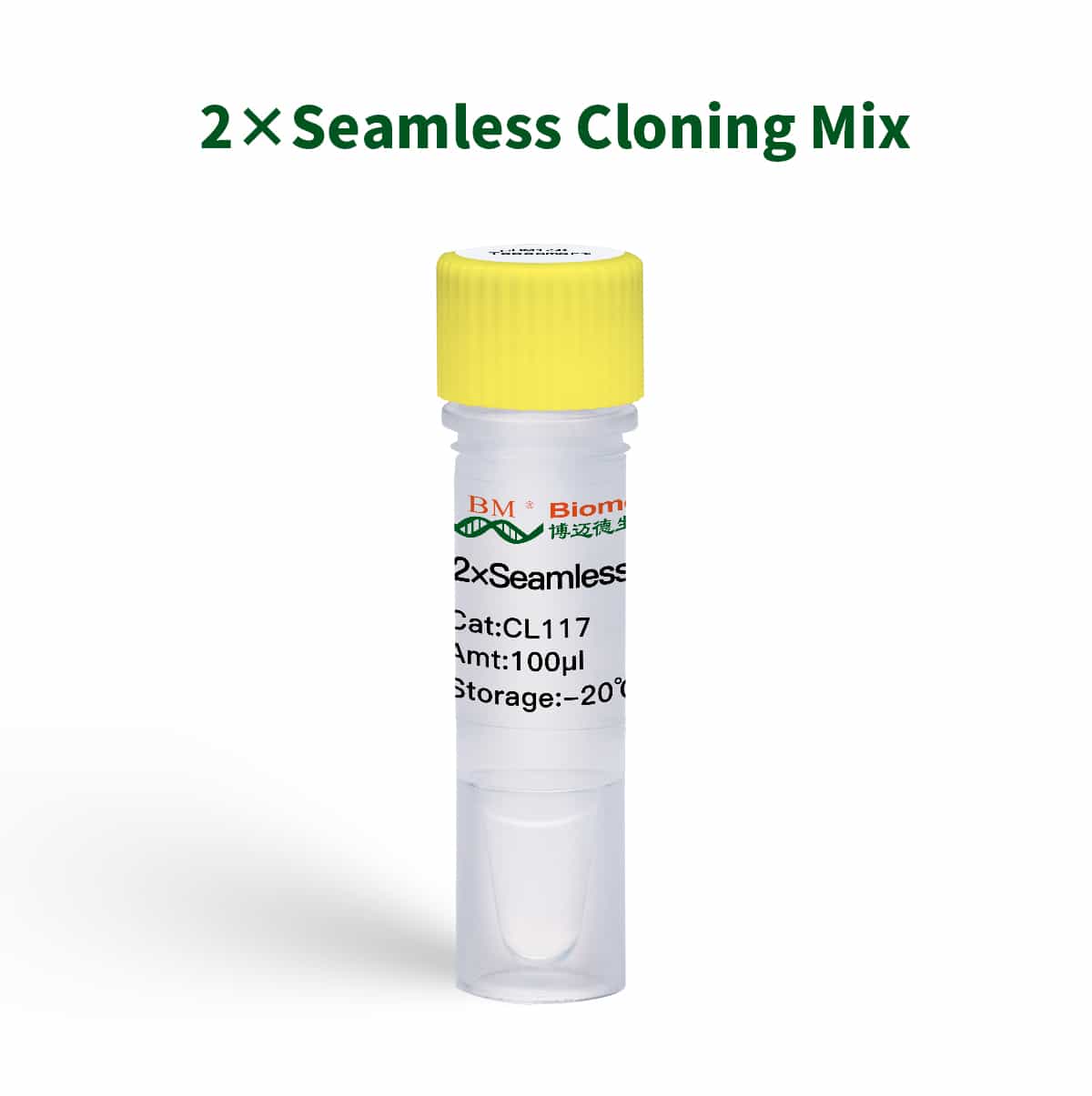 2×Seamless Cloning Mix