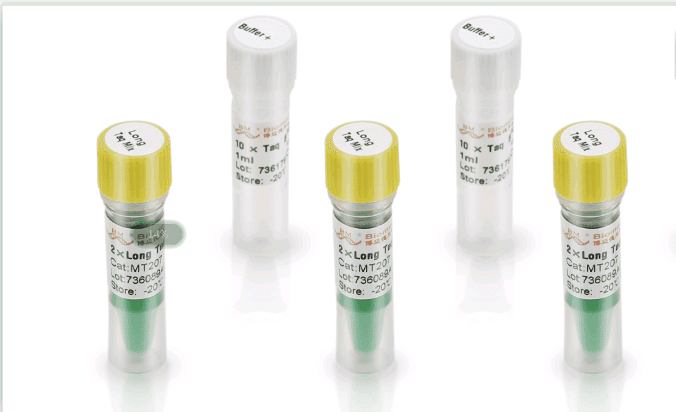 2×Long Taq PCR Master Mix