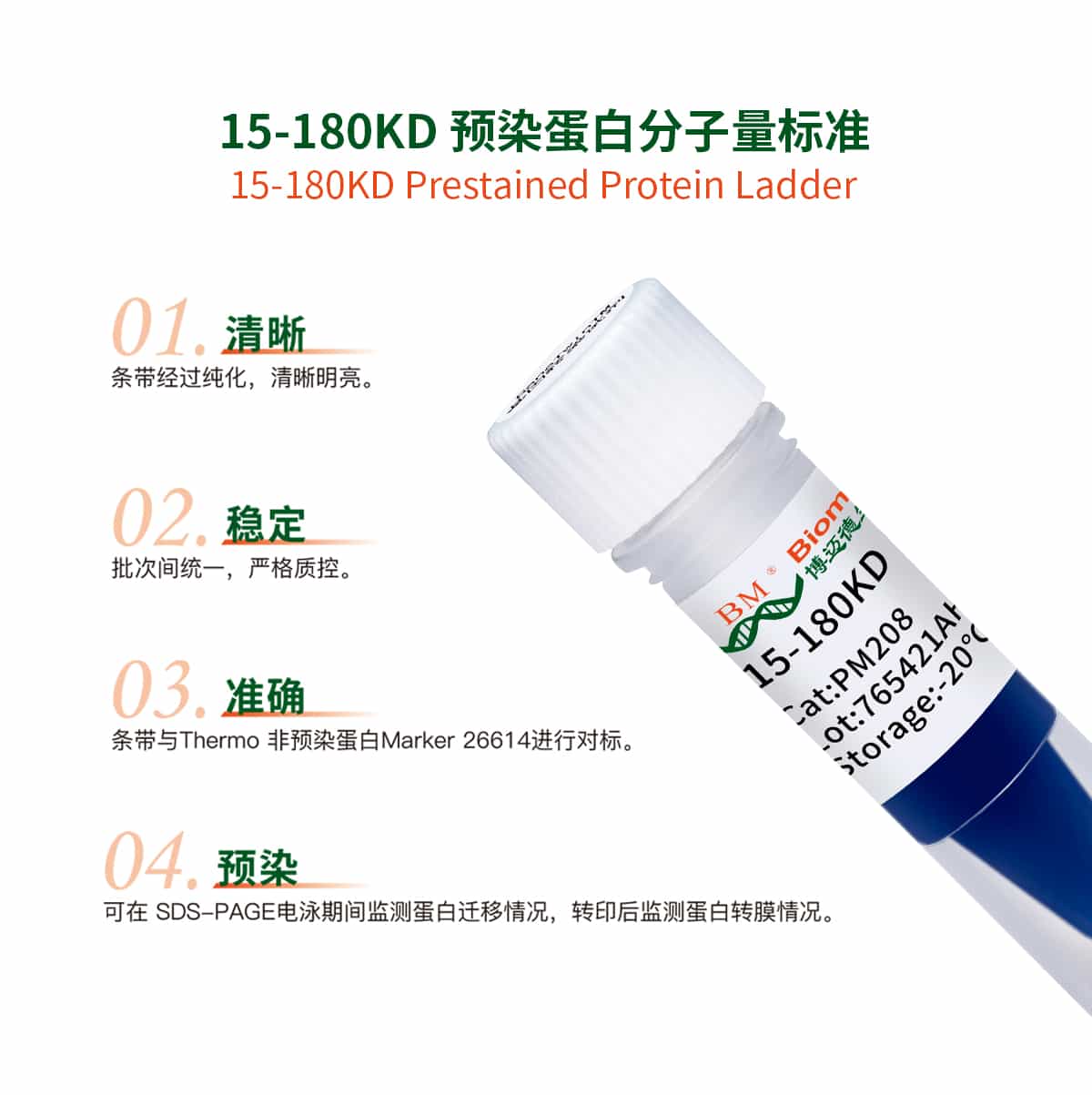 15-180KD 预染蛋白分子量标准