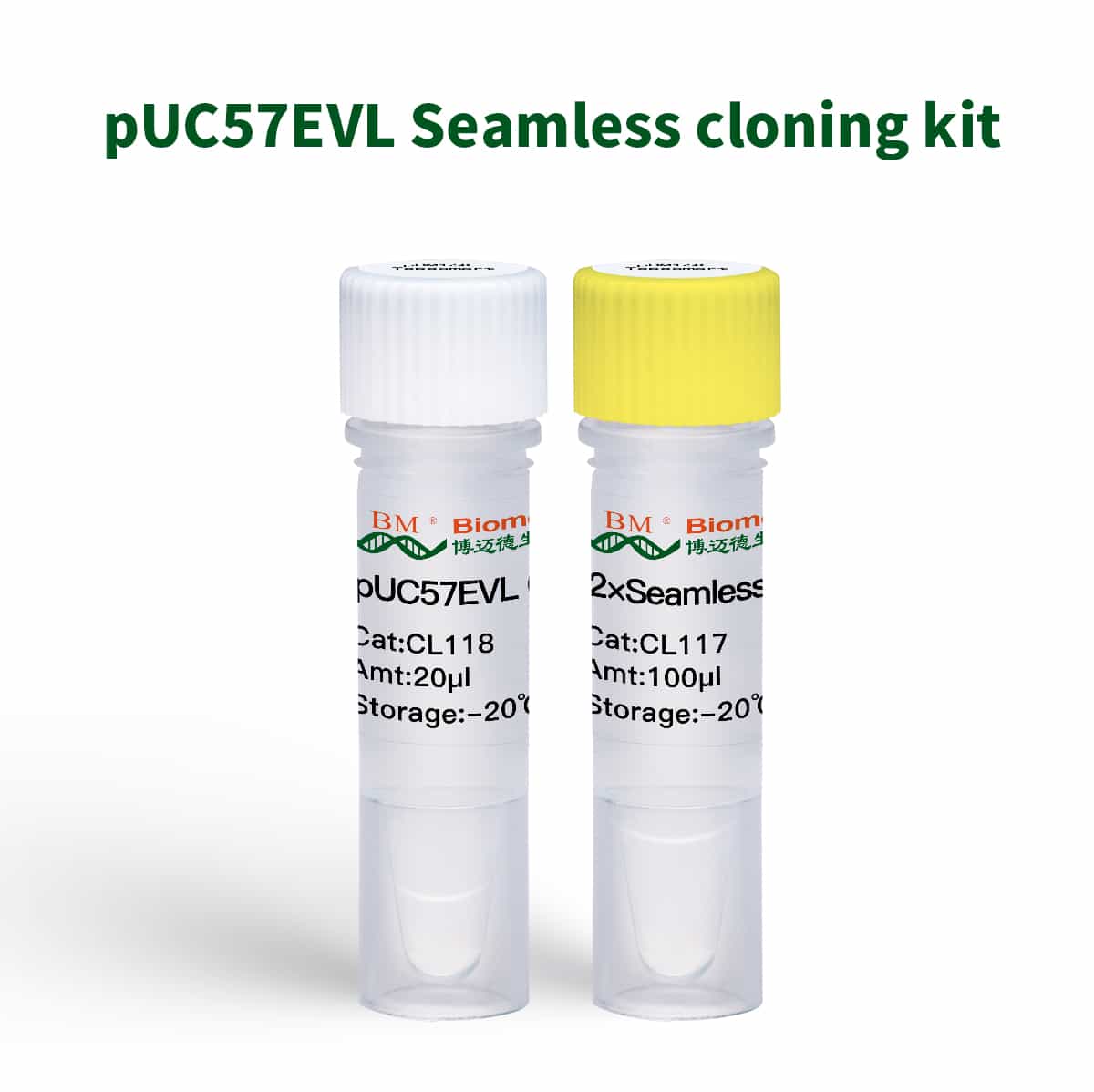 pUC57EVL Seamless cloning kit