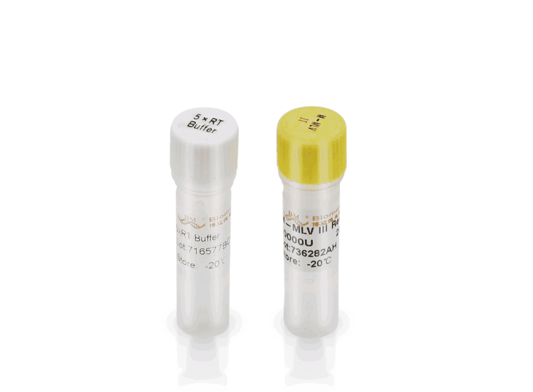 M-MLV 4 First-Strand cDNA Synthesis Kit 