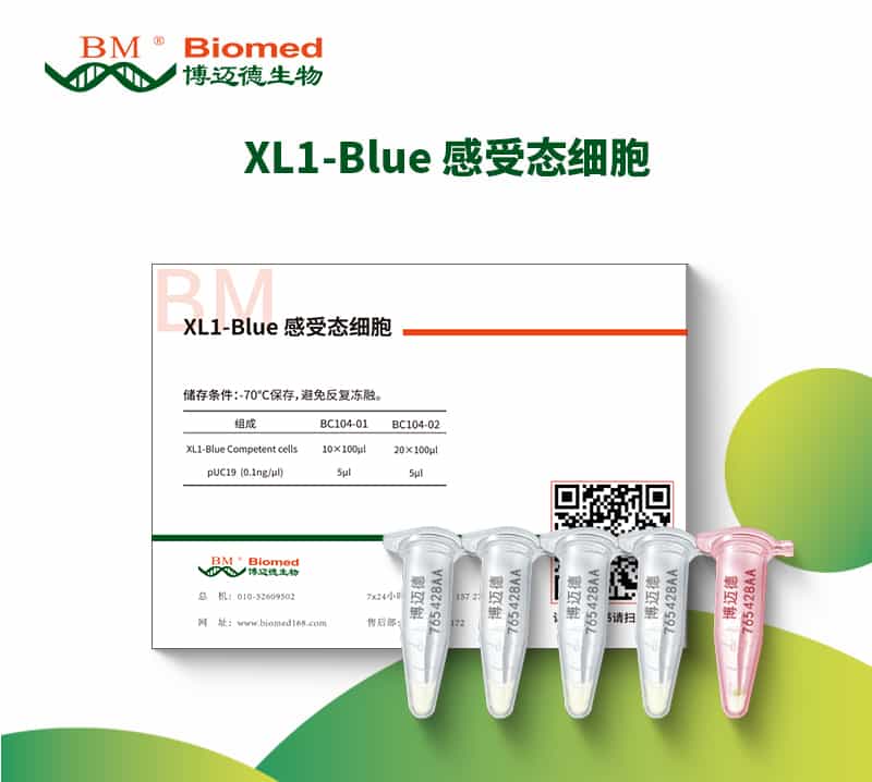 XL1-Blue 感受态细胞