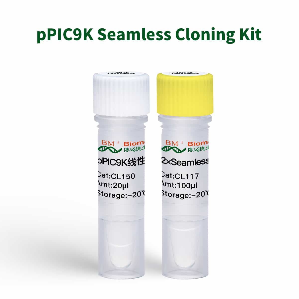 pPIC9K Seamless Cloning Kit