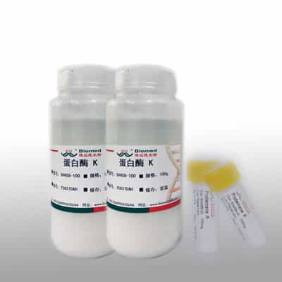 Proteinase K（蛋白酶K）干粉