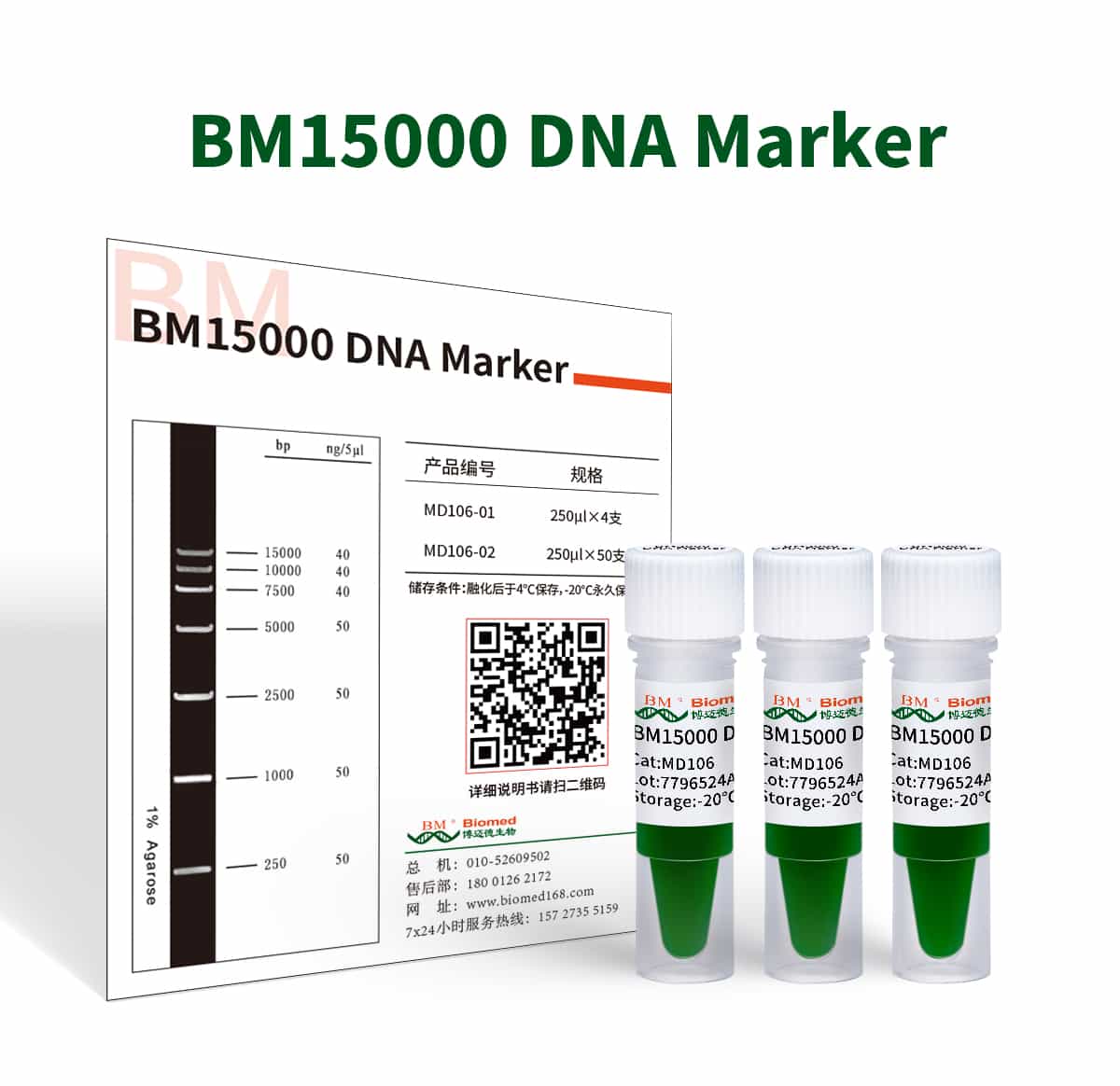 BM15000 DNA Marker