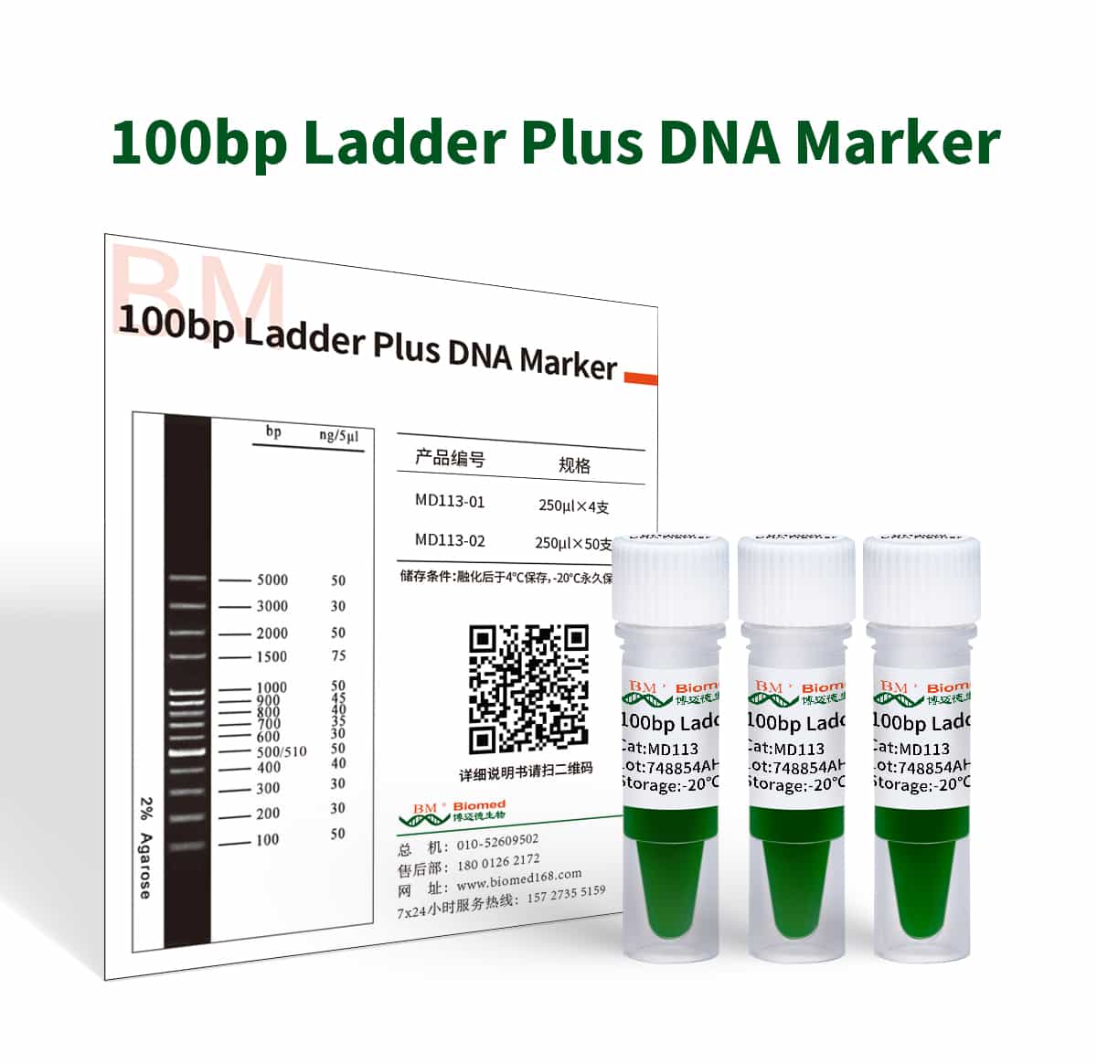 100bp Ladder Plus DNA Marker